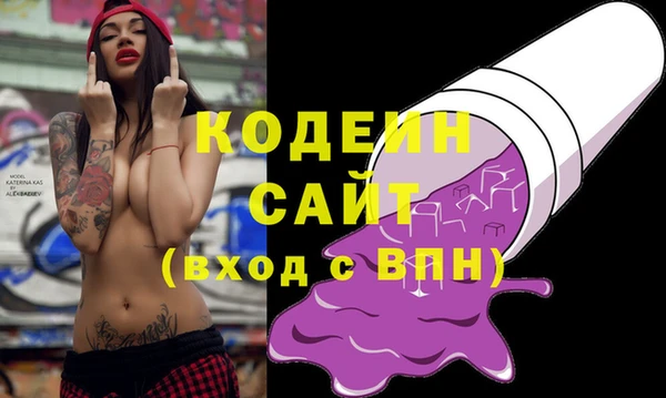 дмт Богданович