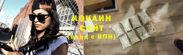 дмт Богданович