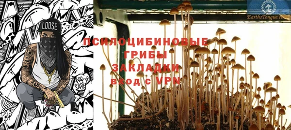 прущий лед Бронницы
