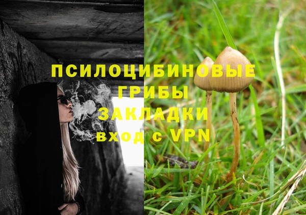 прущая мука Бородино